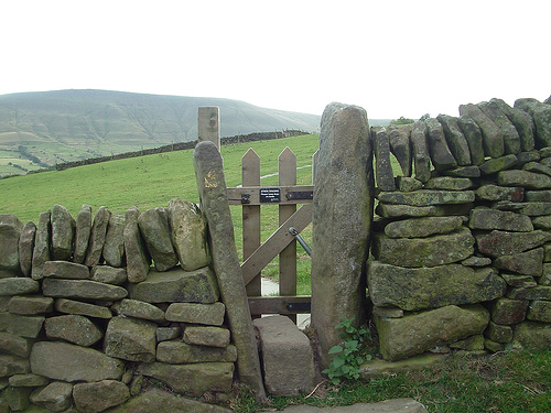 The Narrow Gate Image